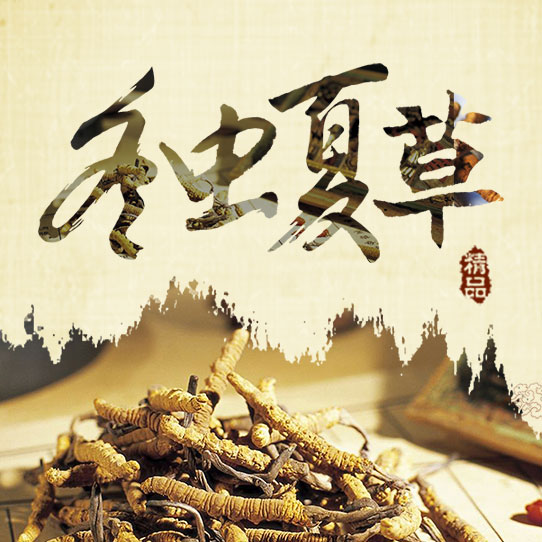 人參野山參保健品補(bǔ)品禮品活動(dòng)促銷