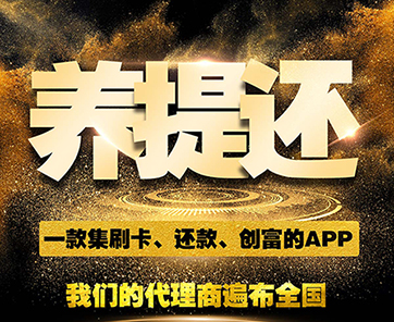 随行付--养卡必备