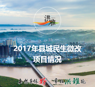 2017年縣城民生微改項目情況