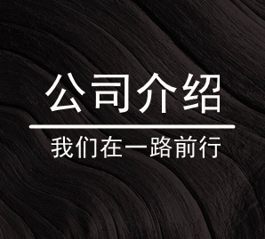 智慧生活—企业介绍