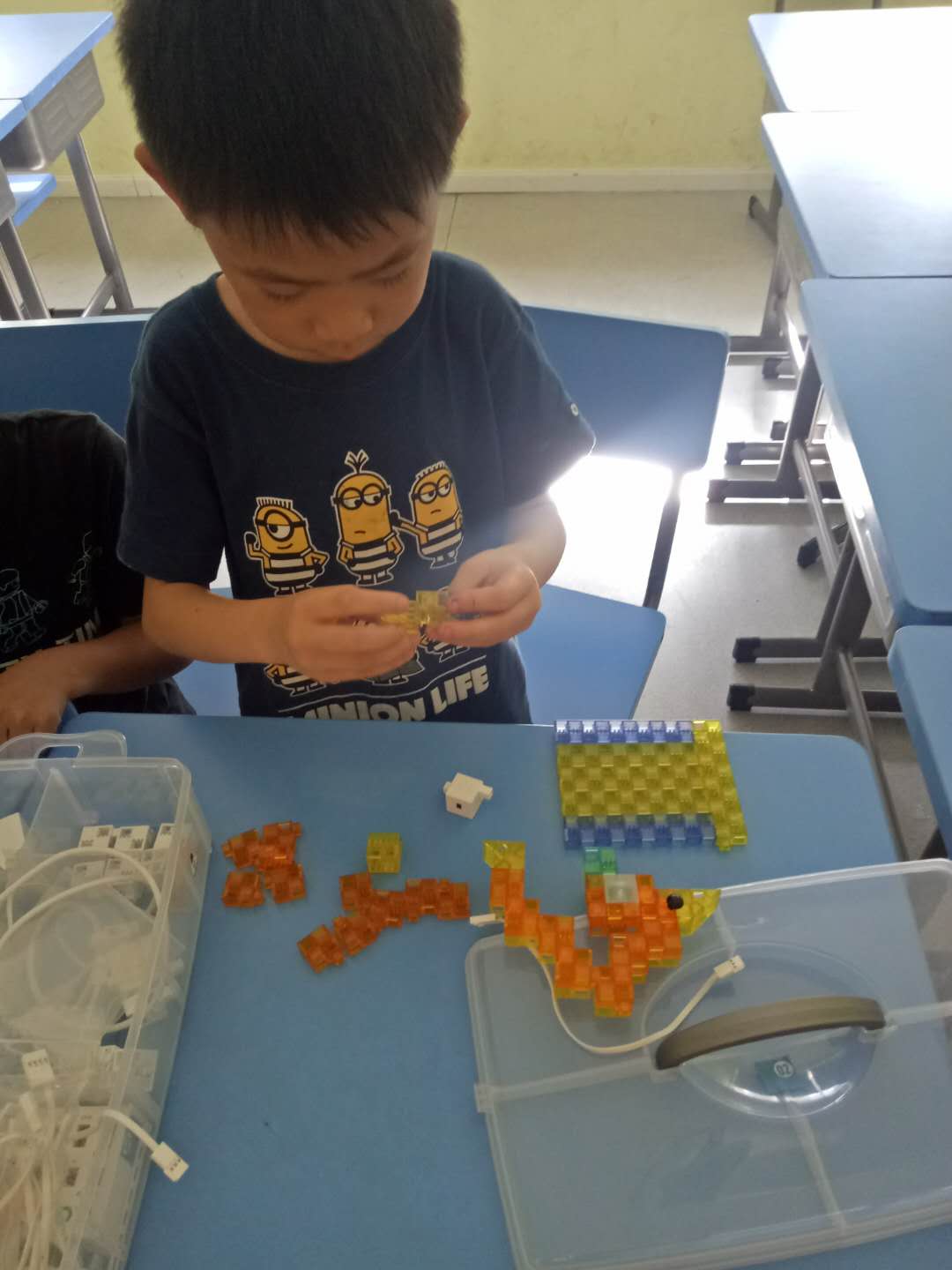 7.19-农耕养殖-鸡