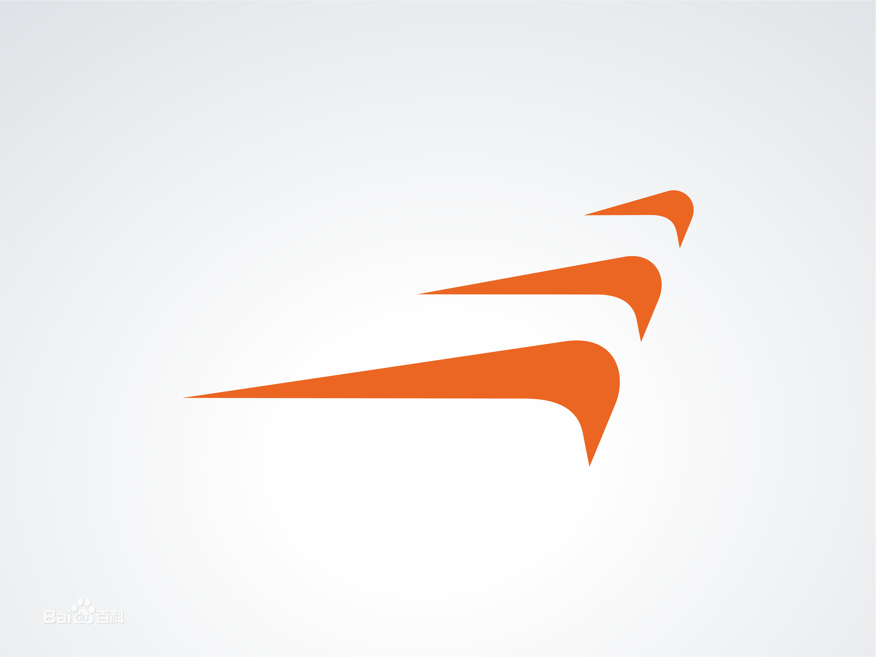 大视界，看风行