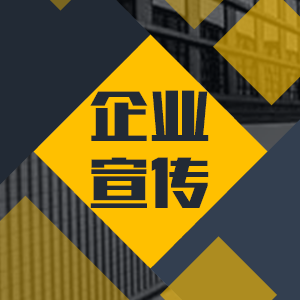 「高端企業(yè)宣傳」炫酷動(dòng)效提升企業(yè)形象
